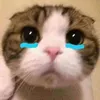 jinnnn893
