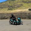 Cincau racing