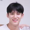 shinjaerin_