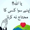 shahsabz551