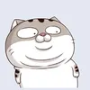 user80l9ieciob