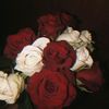 www.harrisoulmate.com