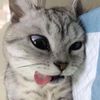 mu4chhu_