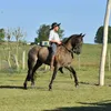 facu_637
