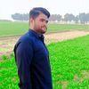 noman262600