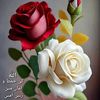 user218414156