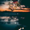dhaym_511