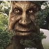 themysthicaltree