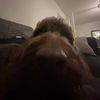 eddieshadbolt_