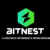 bitnestccs