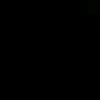 rinozain