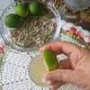 receitasleves45