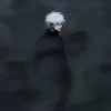 kaaaaayll