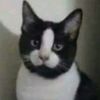 noelfeliz