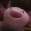 cuclord4