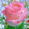 25902a.r.theay.29048