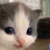 sukamiiilloooo0