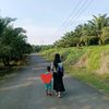 haudewi