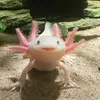 blueandmr