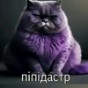 ksenia_kittylike