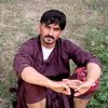 jawidullahjawhar