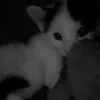 yusskka