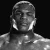 1bestfight