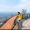 rulis_eli