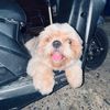 Fluffy