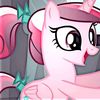 cadence_29