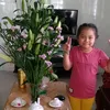 thanhtykieu