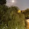 mariedkh