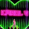 karolrodriguez699