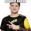 im_tigr01