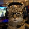 fgtoqq