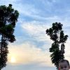 kupu2_burik