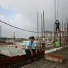 thanhhai731