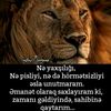 heyata_davam_1111