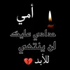 mm.ms44