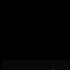 amgg071