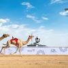 بندر الشمري ⭐️
