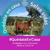 user451762523