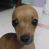 donjuan_1828