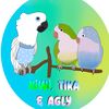 Kiwi, Tika, and Agly