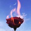 _fan.kadi2