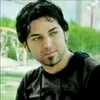 am_ar313