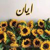 ام أيان
