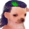 shadyzob420