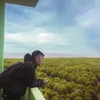 earminh