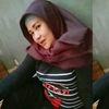 sussybulle